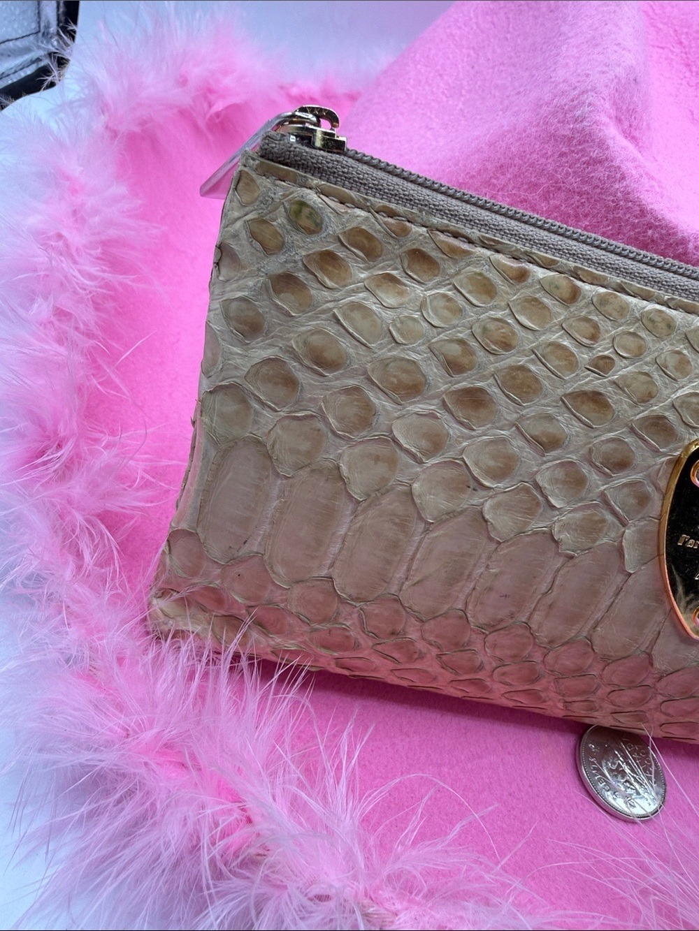 ATAO Gold Leaf Python - Picture 3 of 16